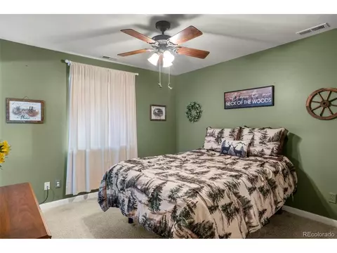 4076 Omer Ln, Divide, CO 80814 photo 13