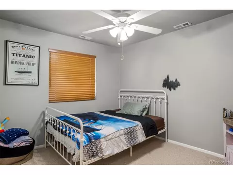 4076 Omer Ln, Divide, CO 80814 photo 17
