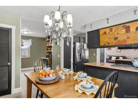 4076 Omer Ln, Divide, CO 80814 photo 10