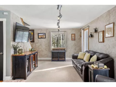 4076 Omer Ln, Divide, CO 80814 photo 3