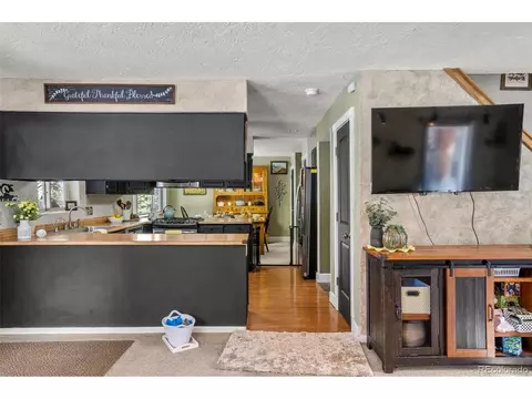 4076 Omer Ln, Divide, CO 80814 photo 5