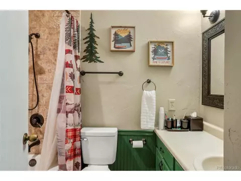 4076 Omer Ln, Divide, CO 80814 photo 19