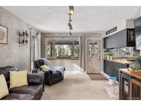 4076 Omer Ln, Divide, CO 80814 photo 4