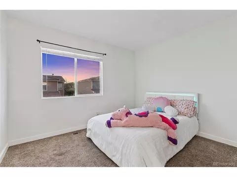 21445 E 46th Ave, Denver, CO 80249 photo 18