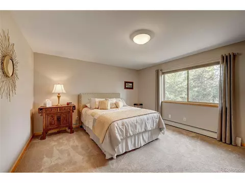 302 Park Ave, Pine, CO 80470 photo 19