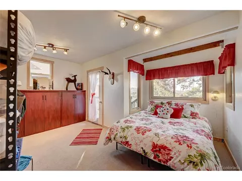 302 Park Ave, Pine, CO 80470 photo 26
