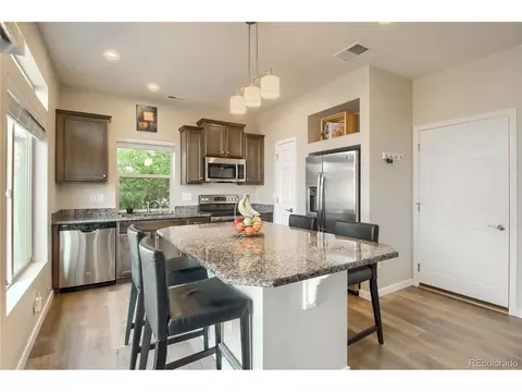 20020 E 48th Pl, Denver, CO 80249 photo 10