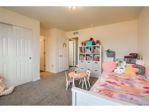 20020 E 48th Pl, Denver, CO 80249 photo 19