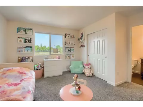 20020 E 48th Pl, Denver, CO 80249 photo 20