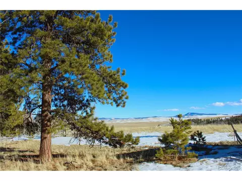 11162 Ranch Rd, Hartsel, CO 80449