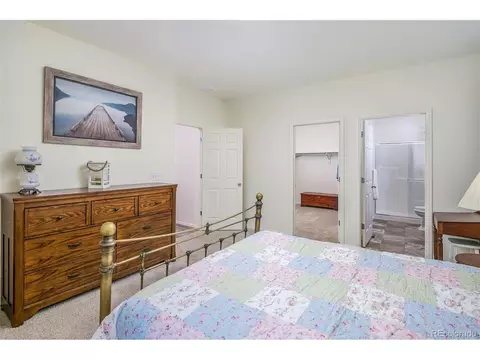 923 Camberly Dr, Windsor, CO 80550 photo 15