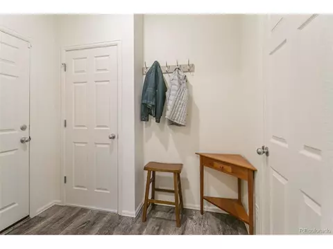 923 Camberly Dr, Windsor, CO 80550 photo 23