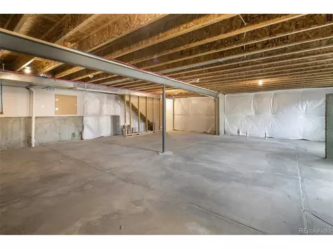 923 Camberly Dr, Windsor, CO 80550 photo 25