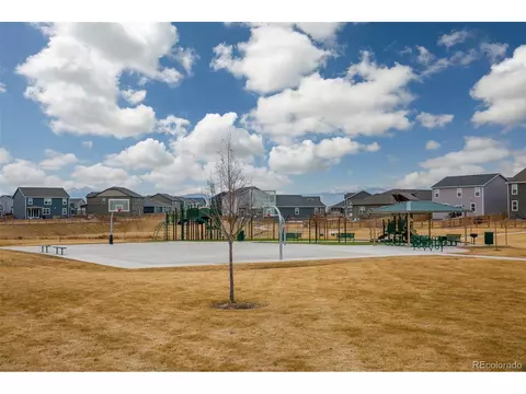 923 Camberly Dr, Windsor, CO 80550 photo 36