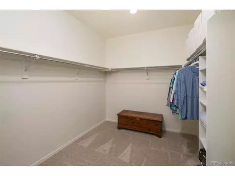 923 Camberly Dr, Windsor, CO 80550 photo 17
