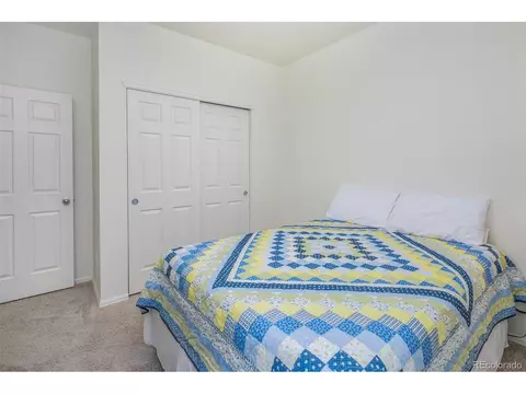 923 Camberly Dr, Windsor, CO 80550 photo 22