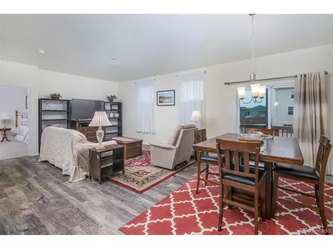 923 Camberly Dr, Windsor, CO 80550 photo 9