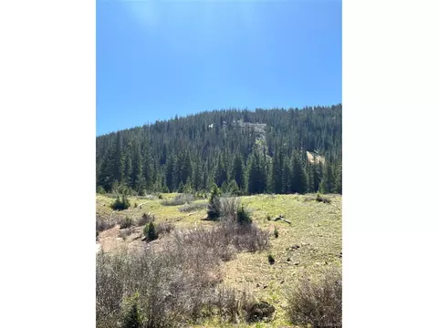 2711 Forest Queen Mc, Buena Vista, CO 81211