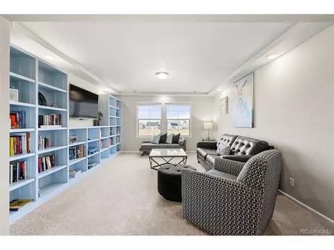 20503 E 50th Pl, Denver, CO 80249 photo 15