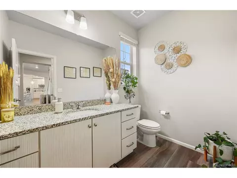 20503 E 50th Pl, Denver, CO 80249 photo 14