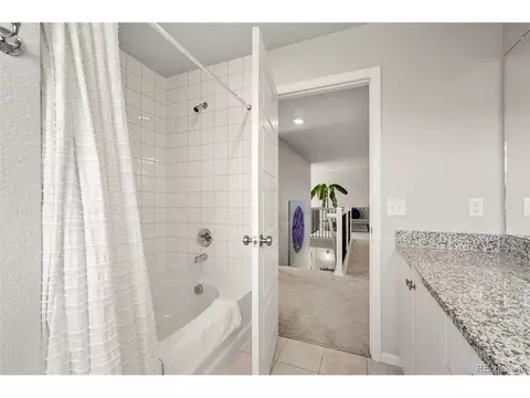 20503 E 50th Pl, Denver, CO 80249 photo 25