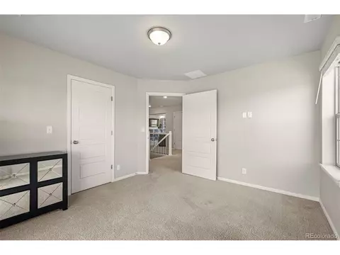 20503 E 50th Pl, Denver, CO 80249 photo 28