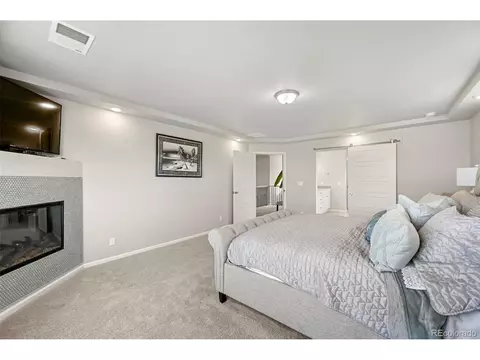 20503 E 50th Pl, Denver, CO 80249 photo 19