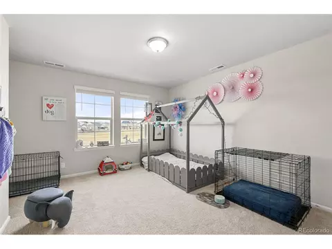 20503 E 50th Pl, Denver, CO 80249 photo 24