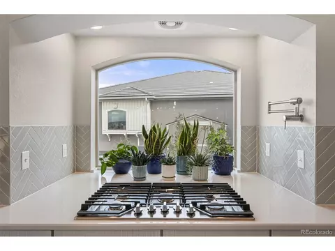 20503 E 50th Pl, Denver, CO 80249 photo 5