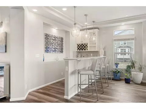 20503 E 50th Pl, Denver, CO 80249 photo 13
