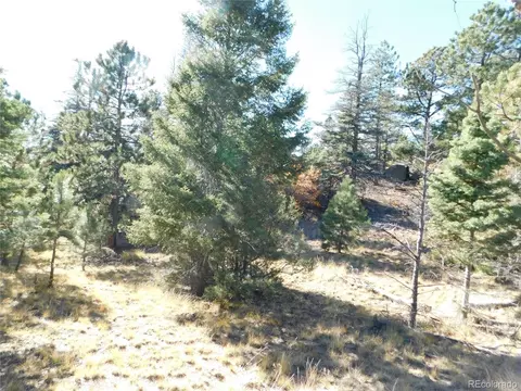 Turkey Springs Dr, Cotopaxi, CO 81223