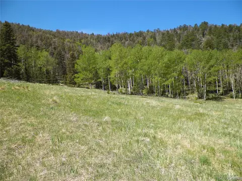 369 Lone Eagle Rd, Westcliffe, CO 81252 photo 21