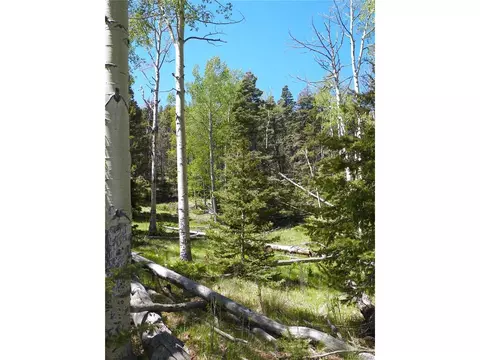 369 Lone Eagle Rd, Westcliffe, CO 81252 photo 11