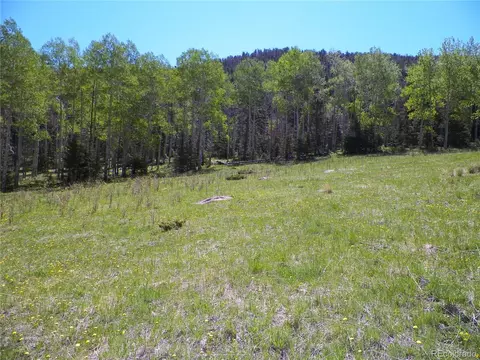 369 Lone Eagle Rd, Westcliffe, CO 81252 photo 19