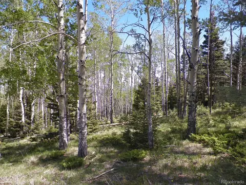 369 Lone Eagle Rd, Westcliffe, CO 81252 photo 22