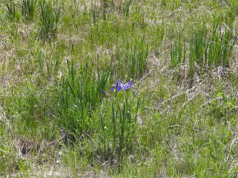 369 Lone Eagle Rd, Westcliffe, CO 81252 photo 23