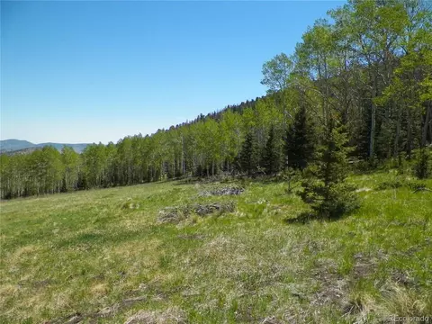369 Lone Eagle Rd, Westcliffe, CO 81252 photo 13