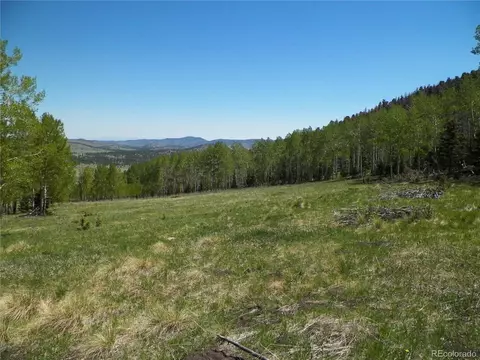 369 Lone Eagle Rd, Westcliffe, CO 81252 photo 20