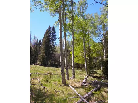 369 Lone Eagle Rd, Westcliffe, CO 81252 photo 12
