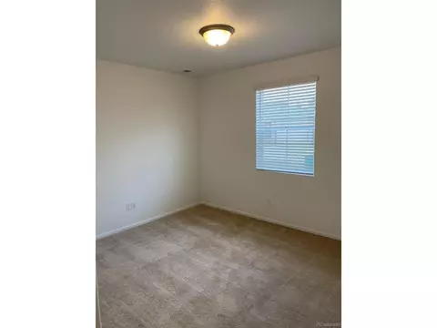 1035 Urial Dr, Severance, CO 80550 photo 6