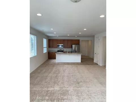 1035 Urial Dr, Severance, CO 80550 photo 3