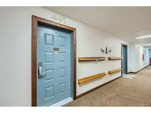 Undisclosed, Silverthorne, CO 80498 photo 24