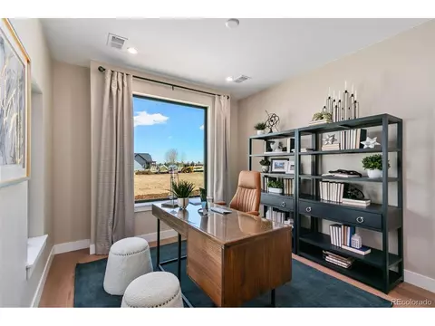1784 Barefoot Dr, Windsor, CO 80550 photo 23