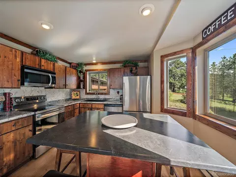 485 Wisp Creek Dr, Bailey, CO 80421 photo 9