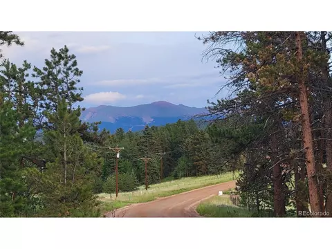 125 Berylium Rd, Florissant, CO 80816