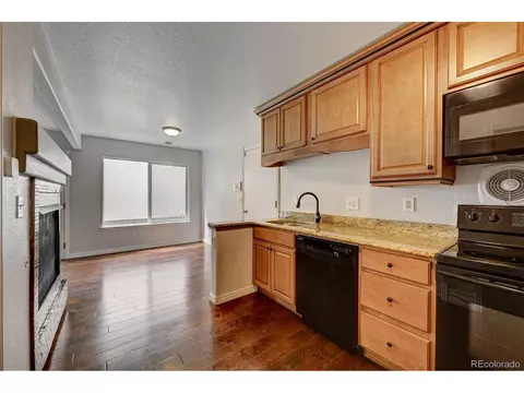21522 E 47th Ave, Denver, CO 80249 photo 13