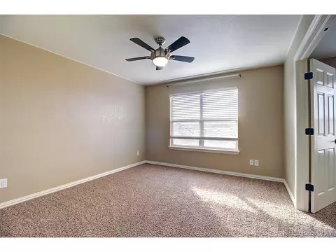 626 Camberly Ct, Windsor, CO 80550 photo 22