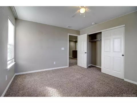 626 Camberly Ct, Windsor, CO 80550 photo 20