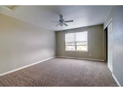 626 Camberly Ct, Windsor, CO 80550 photo 17