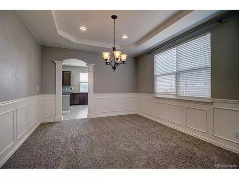 626 Camberly Ct, Windsor, CO 80550 photo 4